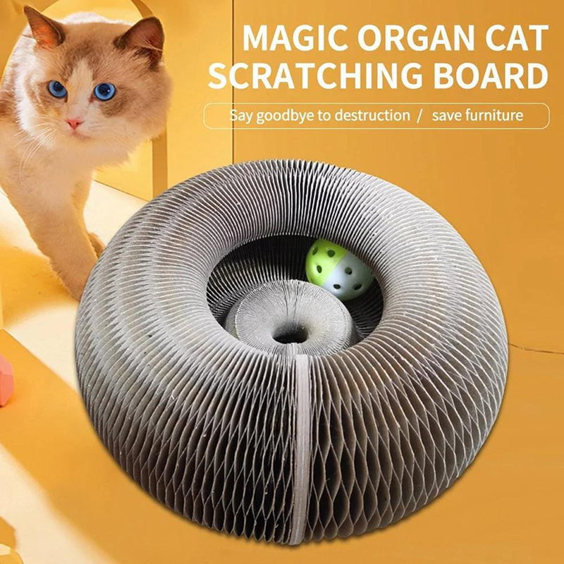 pipicars Funny Pet Cat Scratching Board Round Shape